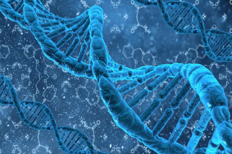 Ανδρολογικό εργαστήριο Ζεγκινιάδου dna